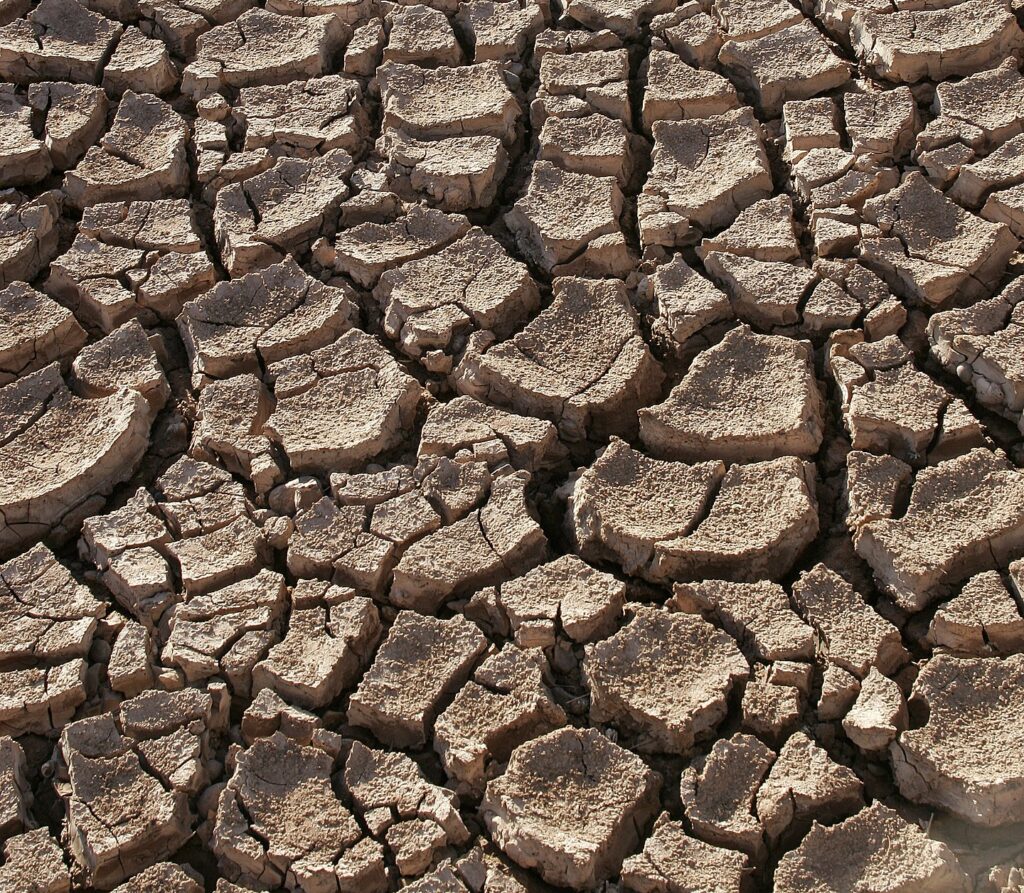 Drought