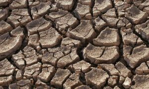 Drought