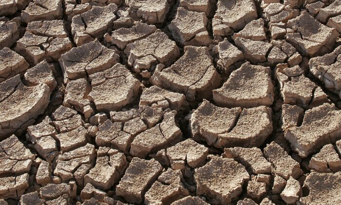 Drought
